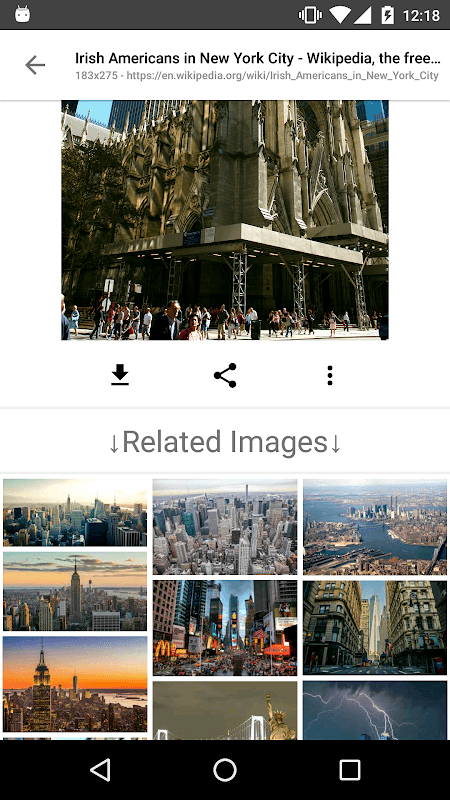Image Search - ImageSearchMan screenshot 5