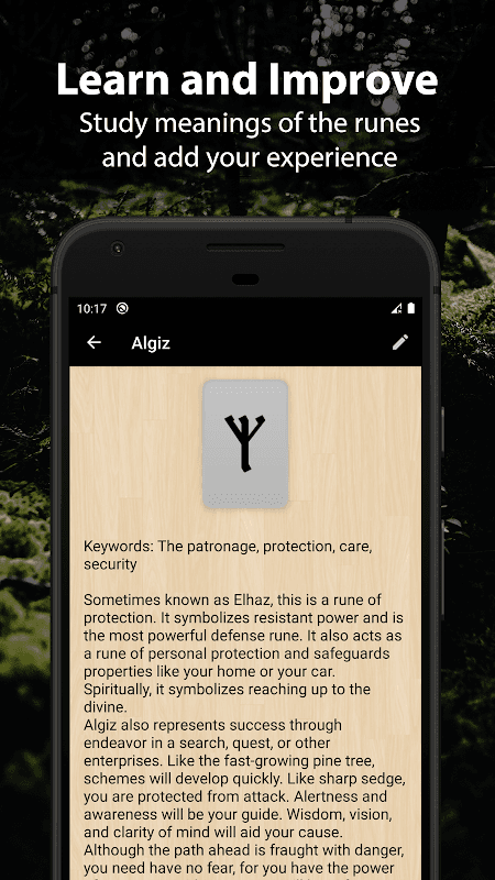 Runic Divination screenshot 3