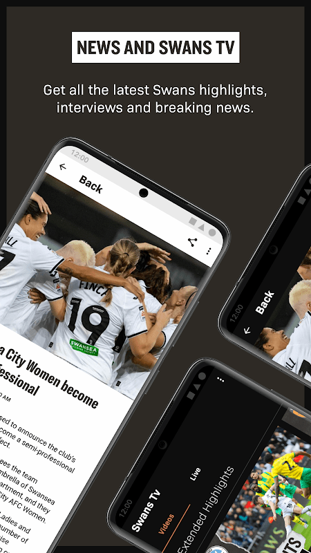 Swansea City screenshot 5