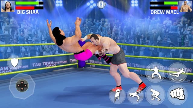Tag Team Wrestling Game screenshot 5