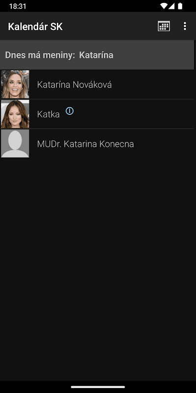 Kalendár SK screenshot 5