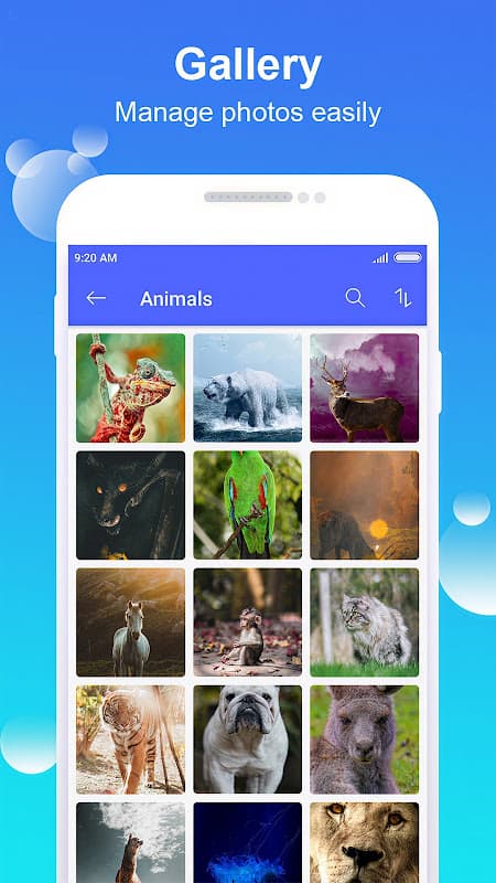 Gallery screenshot 2