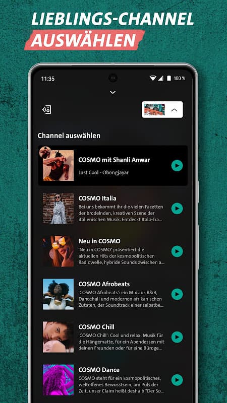COSMO screenshot 4