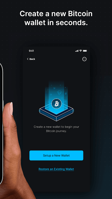 Blockstream BTC Wallet (Green) screenshot 2