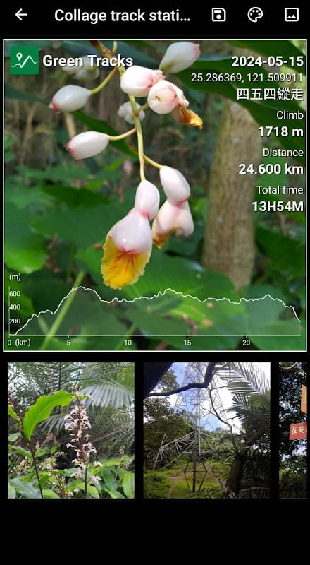 Green Tracks - hiking partner screenshot 1