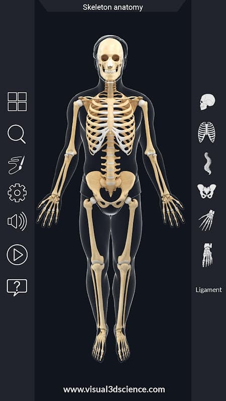 Skeleton Anatomy Pro. screenshot 2