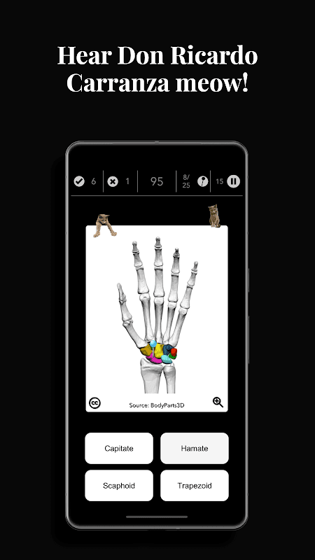 Anatomist - Anatomy Quiz Game screenshot 4