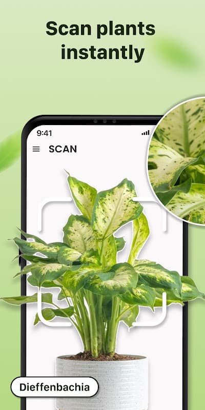 Plant ID: Plant Identification screenshot 1