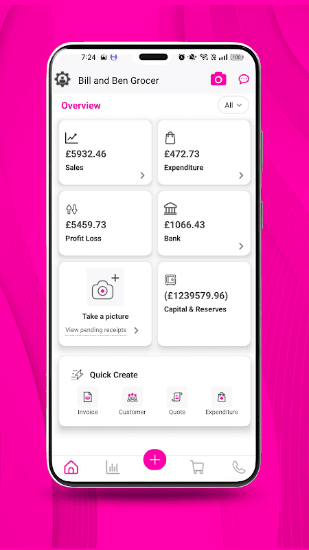 dns accounting screenshot 1