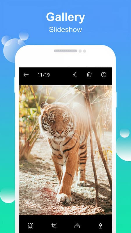 Gallery screenshot 3