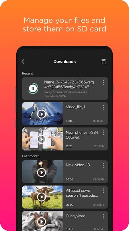 Screenshot 5