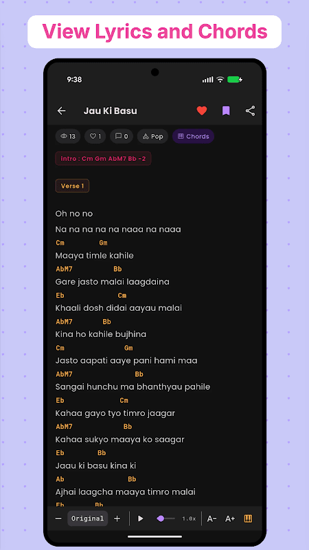 Nepali Songs Lyrics and Chords screenshot 3