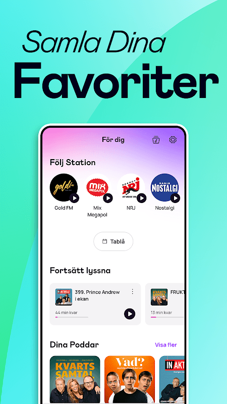RadioPlay screenshot 3