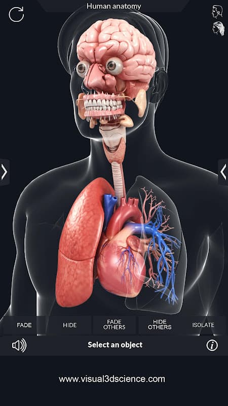 Organs Anatomy Pro. screenshot 4