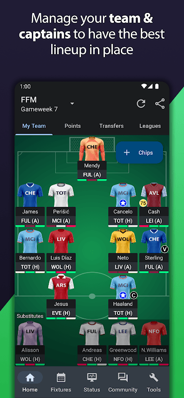 Fantasy Football Manager (FPL) screenshot 1