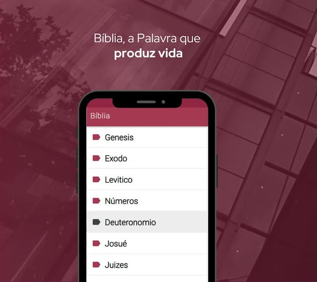 Bíblia Sagrada Almeida offline screenshot 2