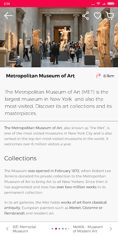 New York Guide by Civitatis screenshot 6