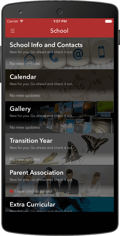 St. Mary's C.B.S, Portlaoise screenshot 4