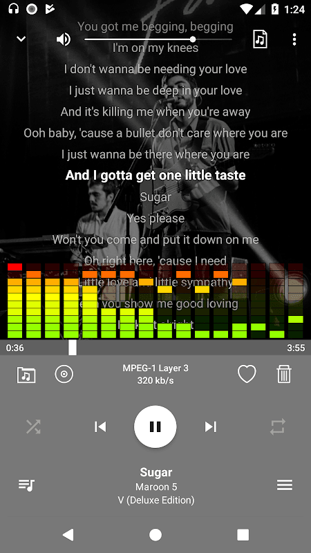 WinVibe Music Player screenshot 3