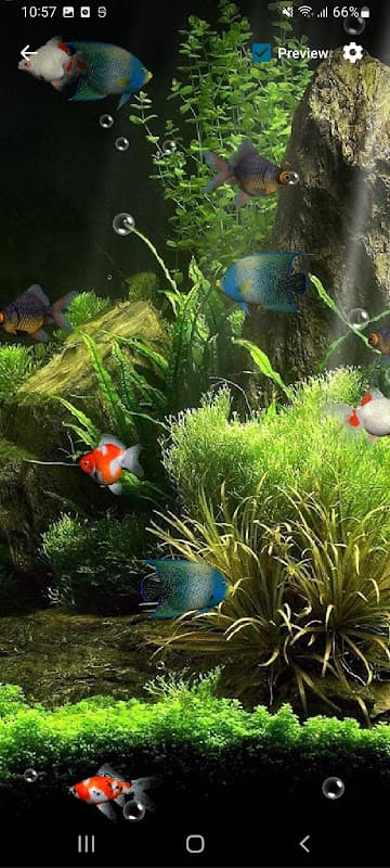 Aquarium Live Wallpaper 3D screenshot 4