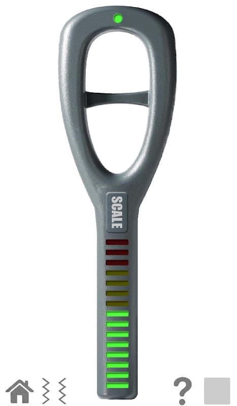 Metal detector simulator screenshot 2