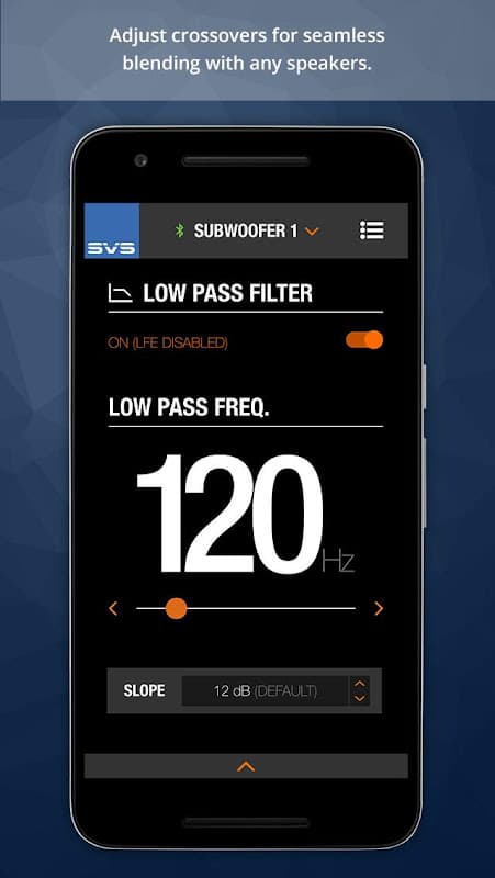 SVS screenshot 4