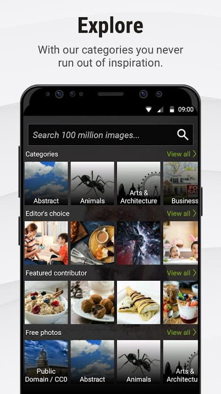 Stock Photos by Dreamstime screenshot 2