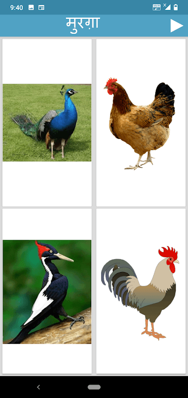 Hindi Animals and Birds - Quiz screenshot 6