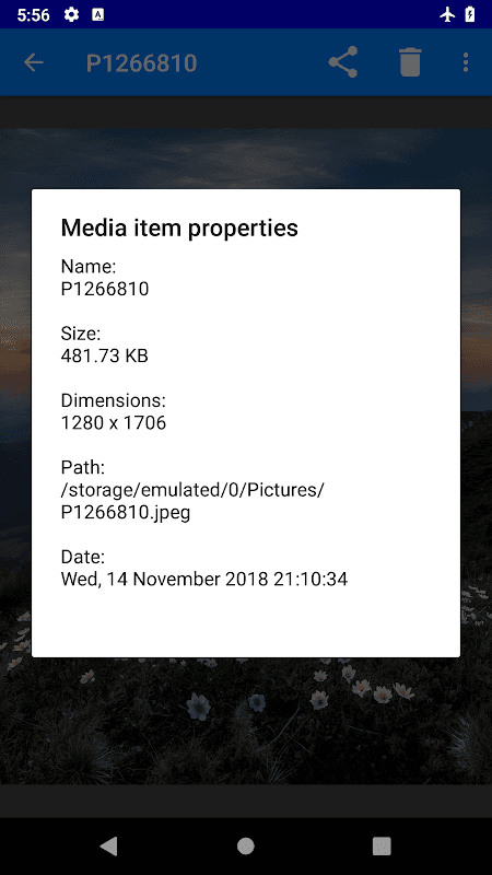 Simple Gallery - Privacy screenshot 5