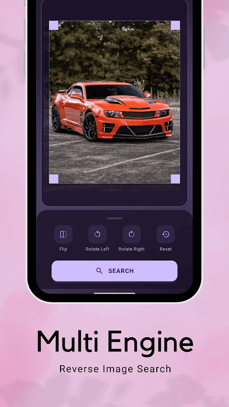 Image Search Pro HD Downloader screenshot 3