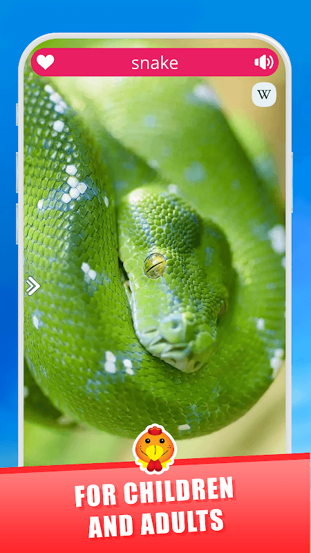 Animal Sounds screenshot 6