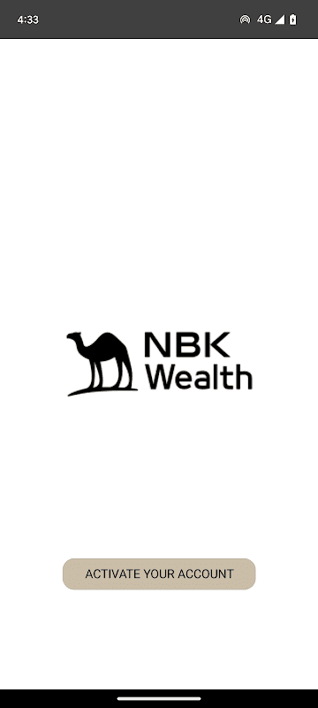 NBK Suisse screenshot 1