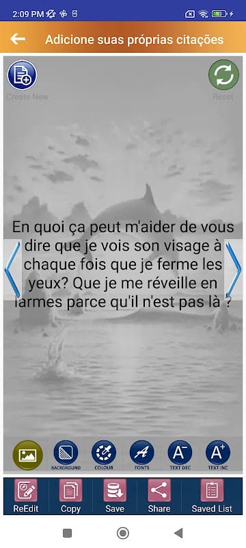 Citations de Cœur Brisé screenshot 2