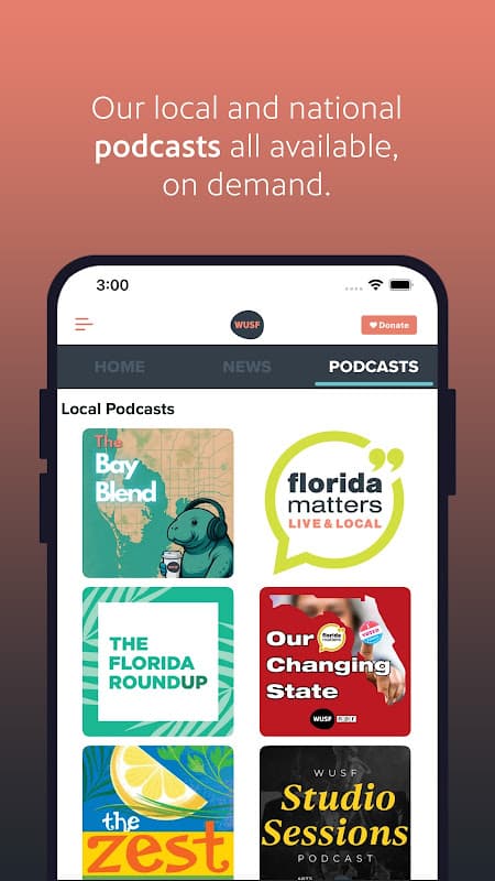 WUSF screenshot 4
