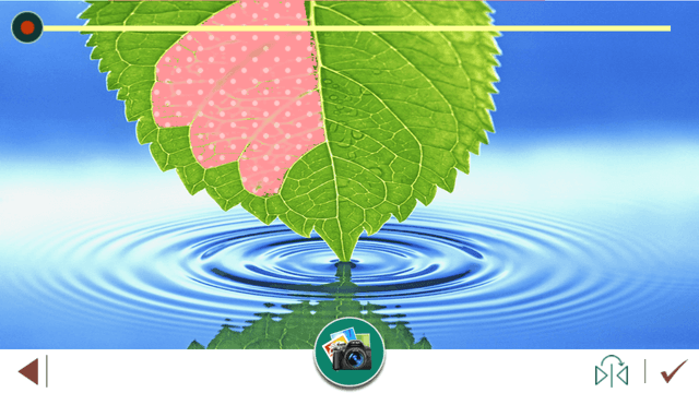 leaf photo frames, effects screenshot 3