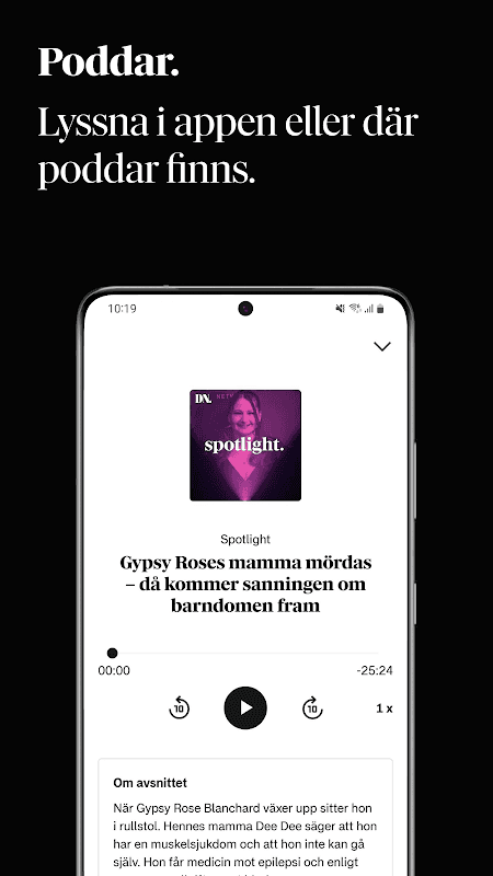 Dagens Nyheter screenshot 3