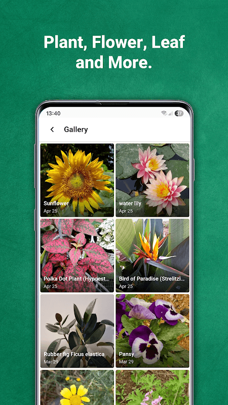 Plant identifier from photo screenshot 4