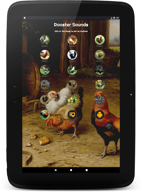 Rooster Sounds screenshot 3