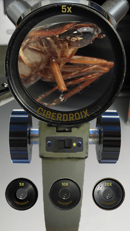 Screenshot 5