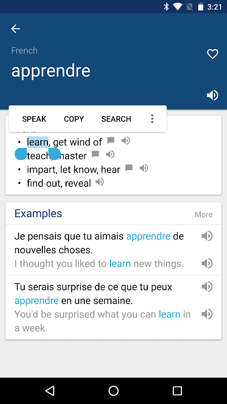French English Dictionary screenshot 2