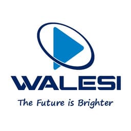Walesi icon