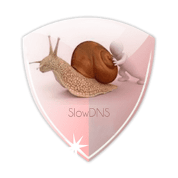 VPN Over DNS  Tunnel : SlowDNS icon