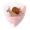 VPN Over DNS  Tunnel : SlowDNS icon