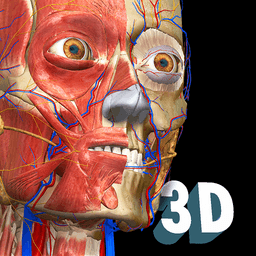 Anatomy Learning - 3D Anatomy Atlas icon