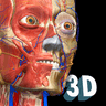 Anatomy Learning - 3D Anatomy Atlas icon
