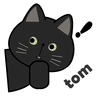 TomVPN- fast stable simple VPN icon