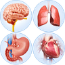 Organs Anatomy Pro. icon
