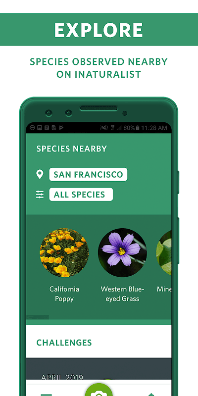 Seek by iNaturalist screenshot 5