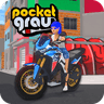 Pocket Grau - Online icon