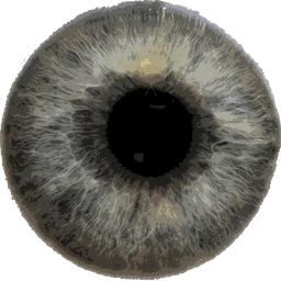 Eye Diagnosis icon
